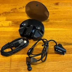 Item thumbnail for item d271ddc4-26a0-4d0b-b861-b376651ddbb7