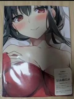 2wayトリコット　抱き枕カバー　438