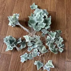다양한 대형, 중형, 소형 아이비 아트 플라워