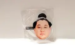 Item thumbnail for item 2b578847-32e5-40ce-a226-fdf74ad06ee6