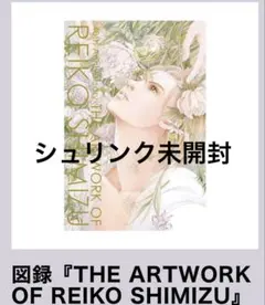 2026年最新】清水玲子 原画展 図録の人気アイテム - メルカリ