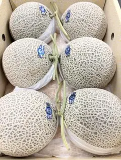 高知県産　温室マスクメロン6玉入り 約9.2㎏（下箱込み）のサムネイル
