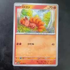 ポケモンカード ロコン
