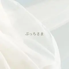 ぷっちさま専用