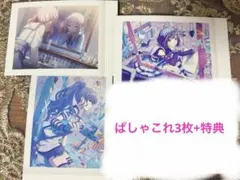 ニーゴ 宵崎奏 東雲絵名 朝比奈まふゆ 暁山瑞希 ぱしゃこれ まとめ売り 特典