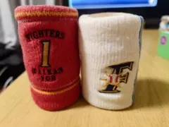 Item thumbnail for item f92a3afa-98e6-474f-8930-823467e87efa