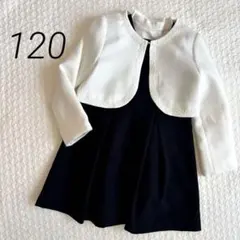 any FAM : セットアップ120フォーマルCatherineCottage