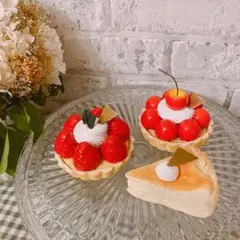 フランスアンティーク風 ガラスドームと天然木のプレートセット ケーキ 