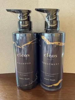 Item thumbnail for item 0616f6b3-570c-4857-8a25-d4ff0c2aa7c5