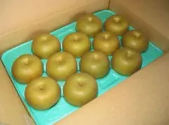 chika様専用　5キロ　幸水梨