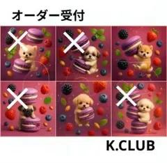 オーダー受付　マカロンわんこ紫　ご予約ページ　11/9