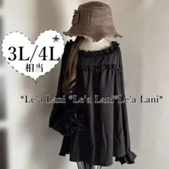 3L/4L相当*春*フリルトリム*ブラックプルオーバー♪大きいサイズ*レディース