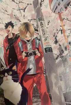 ☆ ハイキュー!!　ハイキュー展　ポストカード　黒尾鉄朗　孤爪研磨