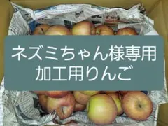 【ネズミちゃん様専用j18】加工用りんご