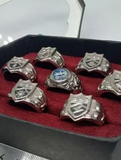 家庭教師ヒットマンREBORN!　ボンゴレリング コンプリートセット　ケース付き