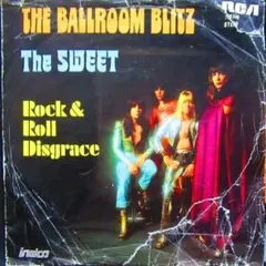 にゃんこ様 リクエスト 2点 まとめ商品