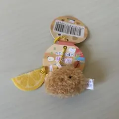 もぴ☞プロフ必読様 リクエスト 2点 まとめ商品