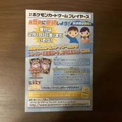 希少 ポケモンカードゲーム プレイヤーズ ハガキ チラシ マイナン プラスル