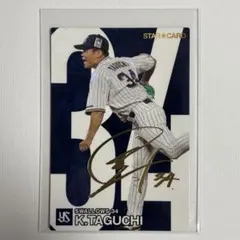 ヤクルトスワローズ 読売ジャイアンツ 田口麗斗 直筆サイン入りグローブ ケース付 ヤクルトスワローズ 読売ジャイアンツ 田口麗斗 直筆サイン入り