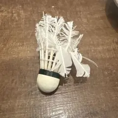 Item thumbnail for item f29cf614-1fa1-41d8-91cf-eab1e4505711