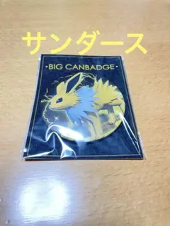 ポケモン　サンダース　ビッグ缶バッジ