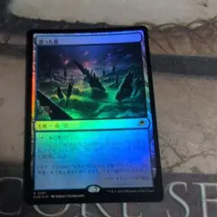 2025年最新】湿った墓 Foilの人気アイテム - メルカリ