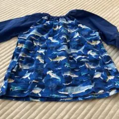 Item thumbnail for item 3f97ca7a-98fb-4753-aec2-8141a7fe6980