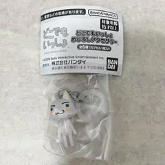 どこでもいっしょ めじるしアクセサリー　トロ　1個