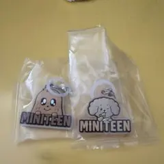 MINITEEN ぷっくりめじるしアクセサリー　ミンギュ　DK ２個