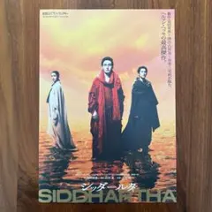 舞台「シッダールタ」見開きフライヤー1枚　草彅剛　杉野遥亮　滝内公美