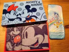 ディズニー　DISNEY　タオルセット　マイクロファイバーケース　第一生命