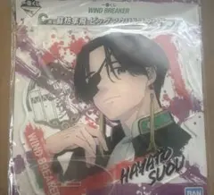 WINDBREAKER 蘇枋隼飛 1番くじ ビックアクリルスタンド