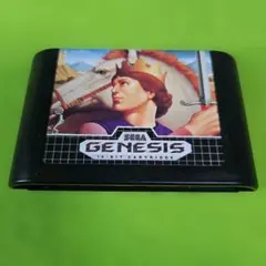 SWORD OF VERMILION GENESIS 海外版メガドライブ