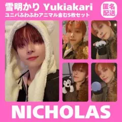 &TEAM NICHOLAS 雪明かり サイン会 アニマル トレカ まとめ売り