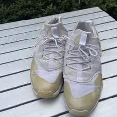 Nike Air Max スニーカー ホワイト/ベージュ