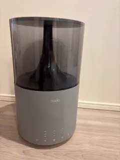 Item thumbnail for item 8b156d44-6725-401d-8750-64bb272a79e3