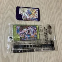 ポケモンフレンダピック　カイリューandテツノイワオ