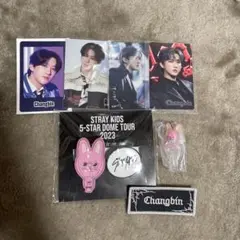 Stray Kids スキズ　チャンビン　グッズセット トレカ　FCくじ