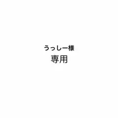 専用
