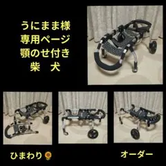 うにまま様専用　柴犬4輪　リハビリ　食事補助　犬用車椅子　介護用　犬の歩行器のサムネイル
