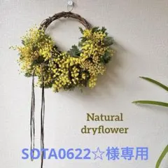 SOTA0622様専用☆ Natural＊ふわふわミモザリース☆ドライフラワー