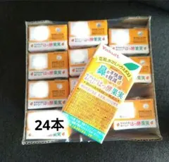 アレルギー花粉対策 はっ酵果実 125ml 24本のサムネイル