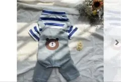 Item thumbnail for item 1c8faa7b-bc02-418b-ba3e-1c5a0353ddb6