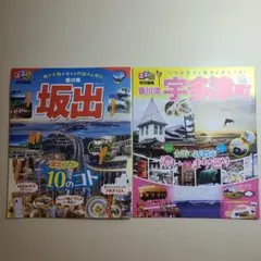 Item thumbnail for item 6d082cf8-bb8a-44d1-a147-d893387fcd33