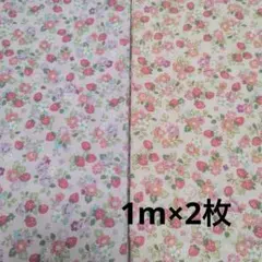 Item thumbnail for item d3c1b8e0-f041-4e4f-937a-fa1bacab8160