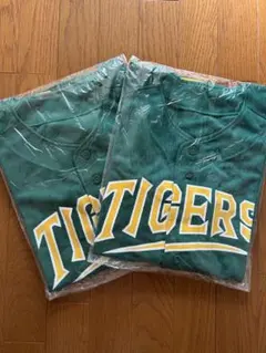 Item thumbnail for item 26a6d733-4df1-4d85-8e57-a7fc7f21f090