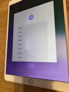 I pad 第3世代　256gb