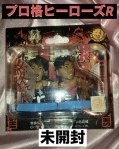 2025年最新】棚橋弘至 フィギュアの人気アイテム - メルカリ
