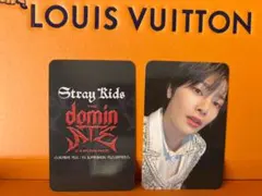 SKZ dominATE Experience 映画 2週目特典 トレカ I.N