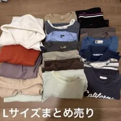 洋服まとめ売り 19点 L レディース メンズ